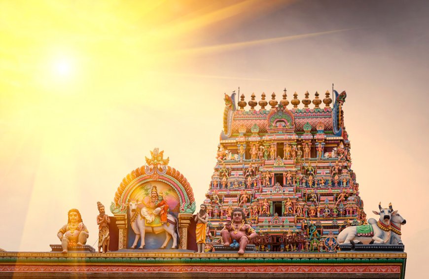 Discover the Essence of South India with Tamil Nadu Tourism Packages