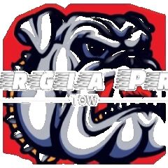 Apex Garage Doors LLC